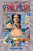 One piece 13